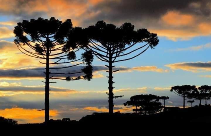 Apartamento Em Cunha Appartamento Esterno foto
